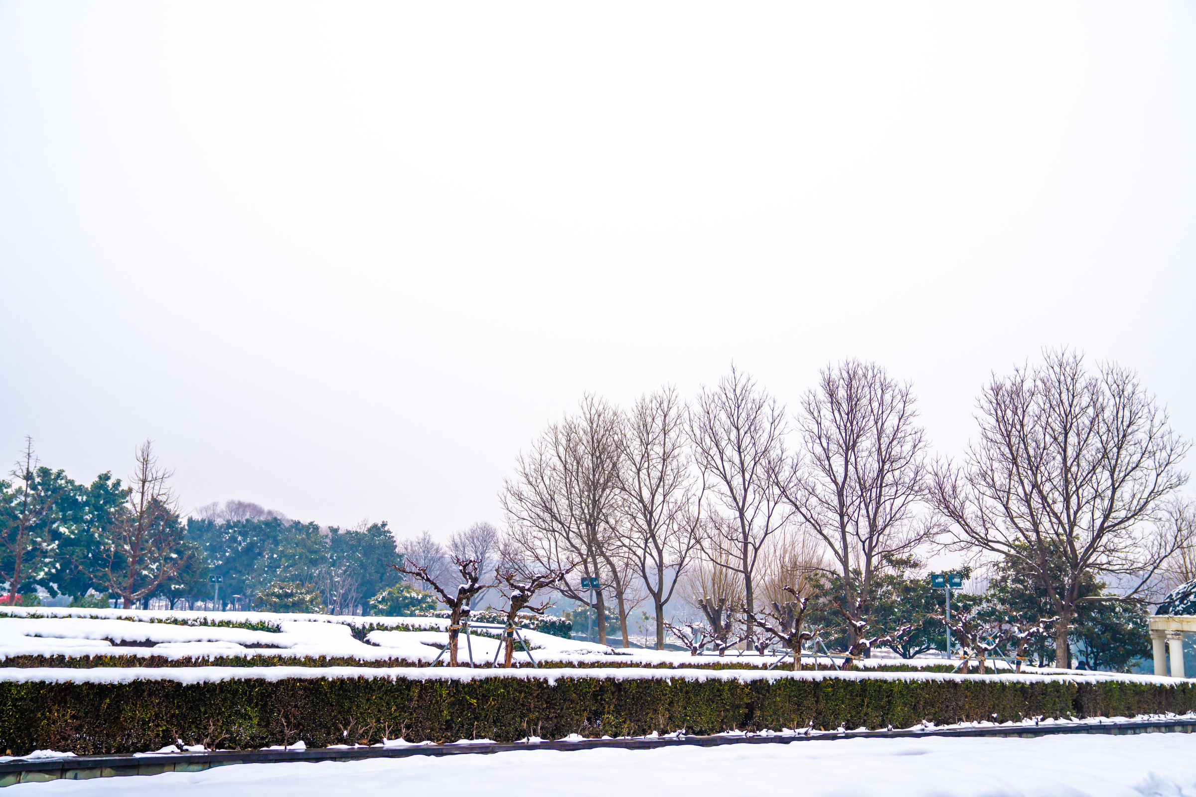 zhengzhou (3).webp
